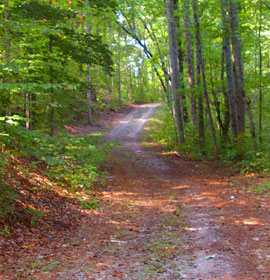 Cherokee Bluff Trails
