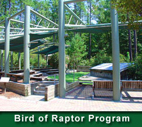 Bird of Raptor Program