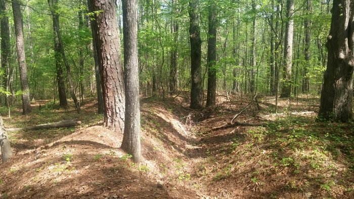 Preserved Civil War earthworks at Kennesaw Mountain National Battlefield