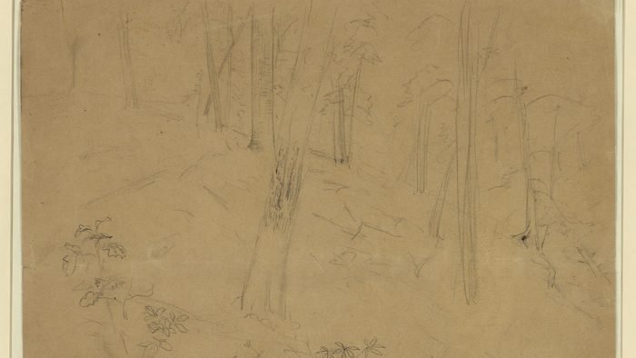 1864 sketch of the fighting at Pickett's Mill, Georgia