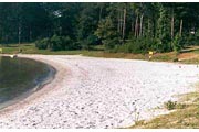 Duckett Mill Campground Beach