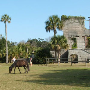 Dungess Ruins and Wild Horse