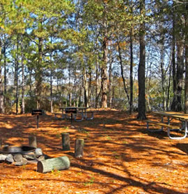 Eagle Island Campsite