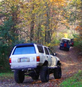 Forest OHV Trail