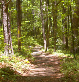 Yellow Hiking trail at Fort Mountain State Park