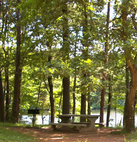Fort Mountain State Park picnic by lake area