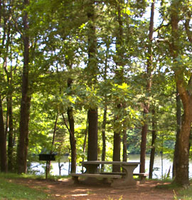 Fort Mountain State Park picnic by lake area