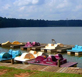 Lake and Paddle Boats at Fort Yargo State Park