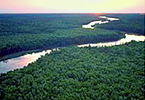 Altamaha Scenic Driving Tour