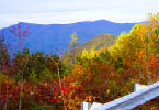 Cohutta-Chattahoochee Scenic Driving Tour