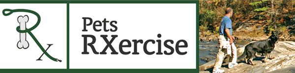 Exercise for dogs at GA State Parks
