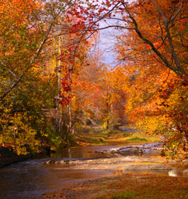 Chattahoochee River