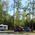 Campsite at Hart State Outdoor Recreation Area