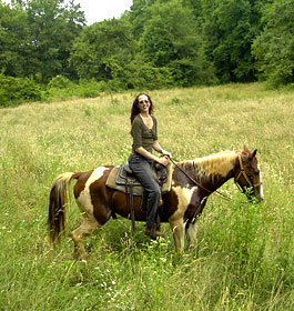 Horseback Riding in Field