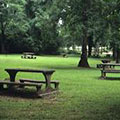 Picnic area at Indian Springs State Park
