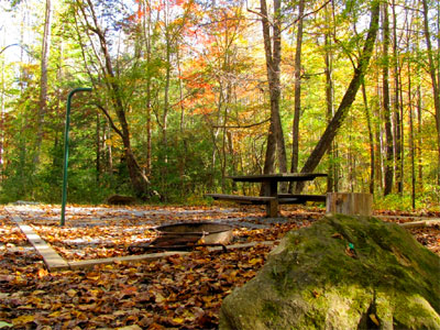 Jacks River Fields Campsite