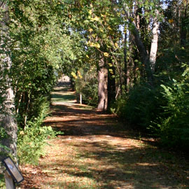 Jefferson Davis Memorial Park Trail