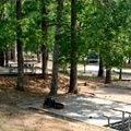 Campsite at John Tanner State Park