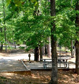 Camping at John Tanner State Park