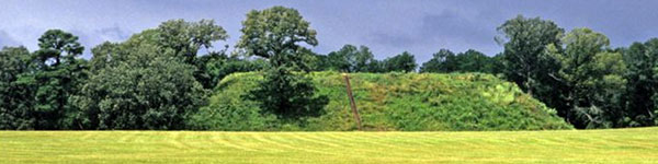 Kolomoki Mounds