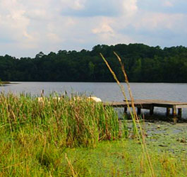 Lake and Pier at Kolomoki Indian Mounds State Park