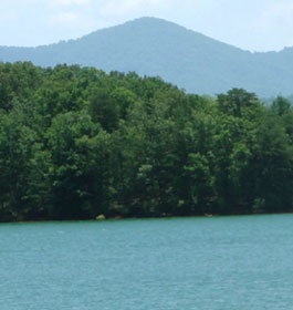 Lake at Morganton Point Campground in GA