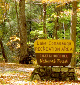 Lake Conasauga Forest Sign
