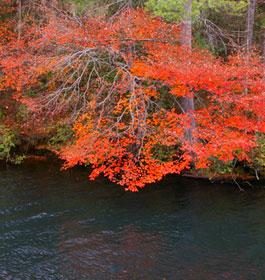 Georgia Lakes