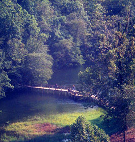 Lake Lanier Bridge