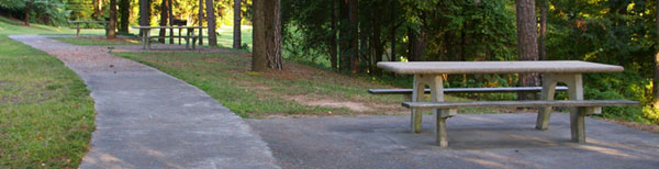 Picnic at Lake Lanier