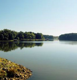 Lake Oconee Shoreline