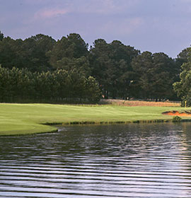 Trees and grass at Lake Oconee shoreline