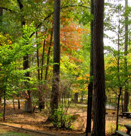 Lake Russell camp area