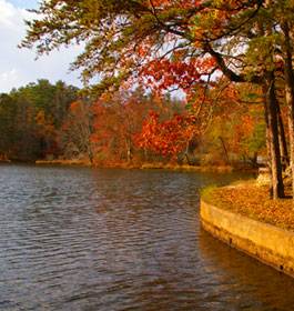 Georgia Lake