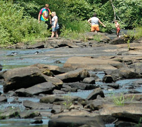 Line Creek Nature Center Fun