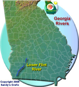 Lower Flint River Map