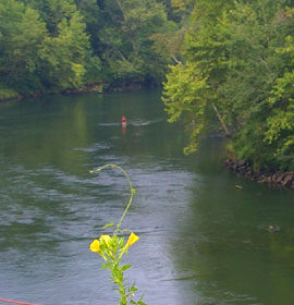 Fishing at Lower Pool Park East Powerhouse Park