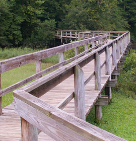 Walking bridge at Lower Pool East Powerhouse Park
