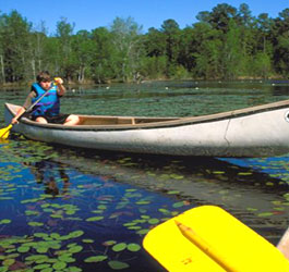 Canoeing at Magnolia Springs State Park