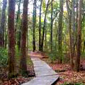 Magnolia Springs State Park Hiking Trail