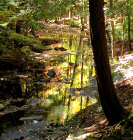 Mill Creek at Hickory Gap Campground