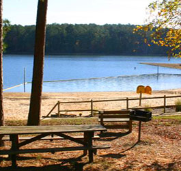 Mistletoe State Park lakeside picnic area