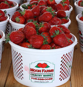 Moon Farms Country Market Strawberries