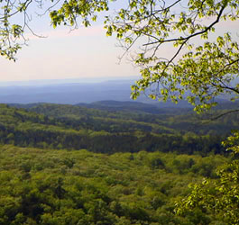 North GA Mountains