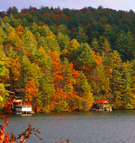 North Ga lake in fall