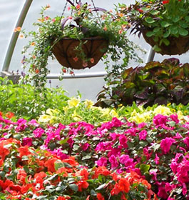 Garden at Oak Hill and Martha Berry Museum