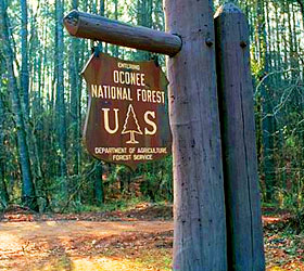 Oconee Forest Sign