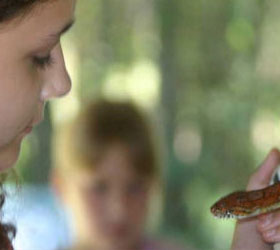 Wildlife at Savannah Ogeechee Canal