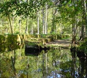 Ogeechee Canal