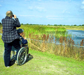 ADA Access to Okefenokee NWR for Wildlife Viewing